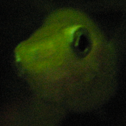 hey_tobey's profile picture. 