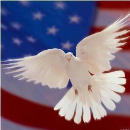 tmann1606's profile picture. 