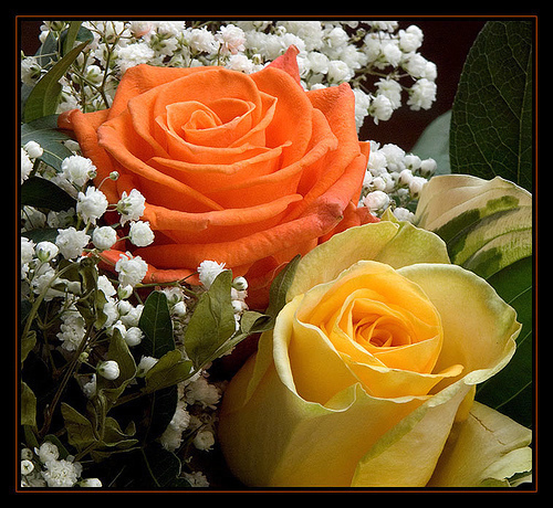 Badr19861's profile picture. 