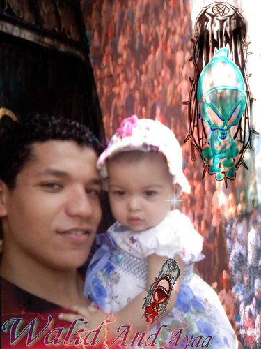 waliddellajtein's profile picture. 