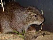 GrassCutterFarm's profile picture. 