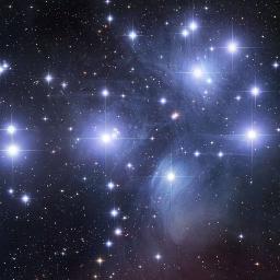 statistifikri's profile picture. 