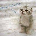 Lucy Sommer - @lucy_sommer - Twitter