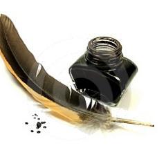 Writer and CEO of the up coming blog http://t.co/3sWYVKI1

Nothing's more powerful than the written (or typed) word.

A place for everyone.
