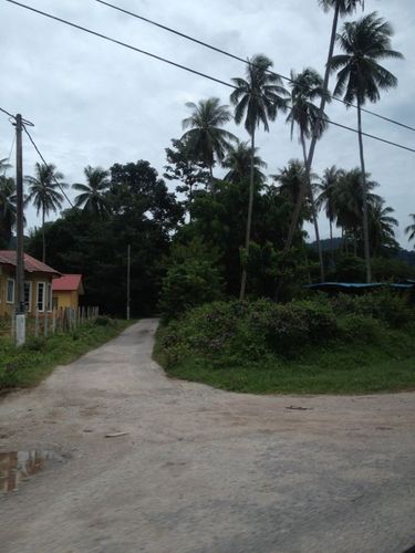 saeedz112233's profile picture. 