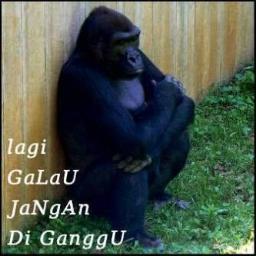 Monyet yg rela kluar dri kbun bnatang demi mngejar cinta sejatinya,Mangkanya yok follow @Monyetgalau7 pasti TLnya nusuk banget.