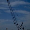 Darla Pate - @DarlaPate5 - Twitter