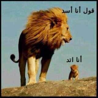 marengos2007's profile picture. 