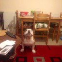 Neil Montgomery - @Vinniemonty - Twitter