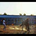 Fernando Acuña Ruiz - @feracu8 - Twitter