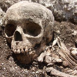 BU_ArcSoc's profile picture. Welcome to the Bournemouth University Archaeology Society on Twitter!