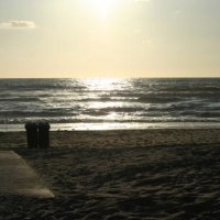 NaomiClareNL's profile picture. Meet me on the playground of dreams
I'll be the girl on the swings
Who chose not to care
The one with the stars Streaming through her hair.