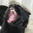 kuch - @daniel_kuchler - Twitter