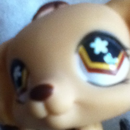 29crazyness's profile picture. Hi im alyssa i have a youtube check out my channel im a lps girl i have 213 lps my roll modle is lps hannah making a series called lps school days