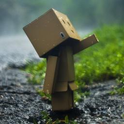 Android & Flutter Developer