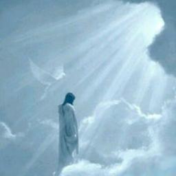 ISouDeJesus's profile picture. Ei você ai ! Deus quer mudar sua historia, quer mudar sua vida por completa.