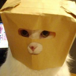 スズカゼさんのプロフィール画像