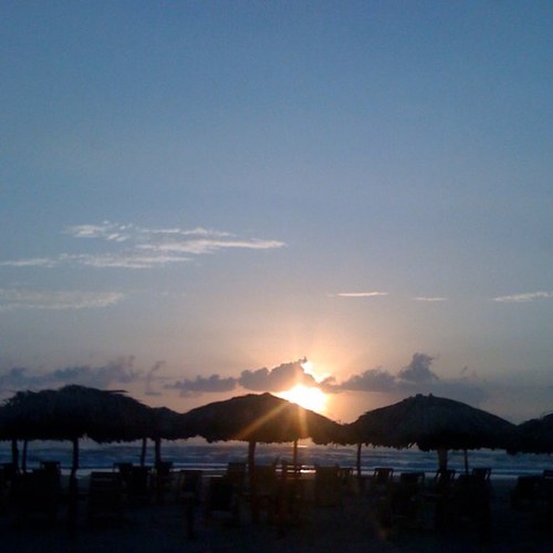 QuantumlabMx's profile picture. 