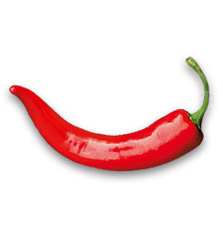spicy food and casual games