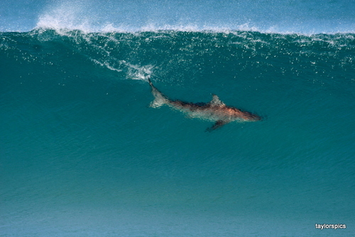 JGHou's profile picture. 