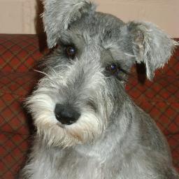 gabyems's profile picture. 