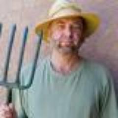 ironcloudz's profile picture. Rank Amateur.  
"Safe and Effective"
Posting does not constitute endorsement. 
Opinions expressed are mine but available for lease.