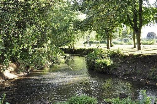 Restoring the Welland in and for Market Harborough