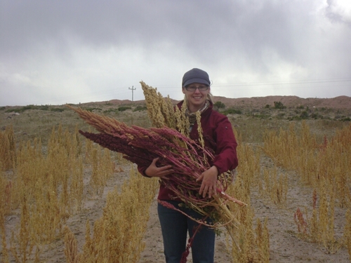 Revolutionizing nutrition with quinoa 365 days a year! I've got many great ways to cook quinoa!