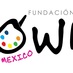 Fundación Arte Down (@artedownmx) Twitter profile photo
