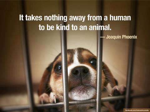 http://t.co/idDvejpnEK is a search engine dedicated to helping animals.  http://t.co/idDvejpnEK will donate 90% of it's revenue to the protection of animals.