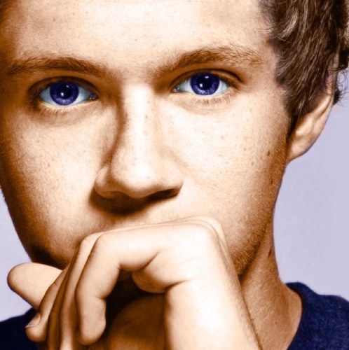 hipthrust_'s profile picture. 0/5 fo'eva. Hiya! we are Nika & Marianne, we're 2 Dutch directioners, who are obsessed with Niall, Liam, Louis, Zayn and Harry. 3