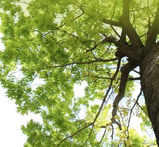 BarbaraImrieRMT's profile picture. Registered Massage Therapist (RMT) in Orangeville.
Therapeutic Massage, Myofascial Release, Lymphatic Drainage, Pregnancy Massage.