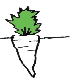 GardenFood4u's profile picture. Mother , Herb Grower, Herber and Soil & Plant Nutritionist and Co Author of Humble Herbs books