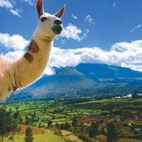 EcuatravelGuide (@ecuatravelguide) 's Twitter Profile Photo EcuatravelGuide (@ecuatravelguide) 's Twitter Profile Photo