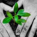 Andy Wheatley - @magoorecruit - Twitter