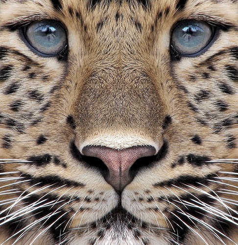 LocalSpotz's profile picture. Add me on Facebook! http://t.co/EQUDHVeohw