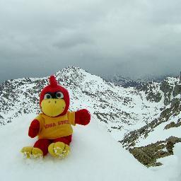 lvkurt's profile picture. 