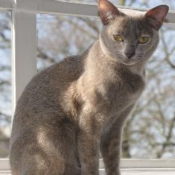 CaseKistruck's profile picture. 