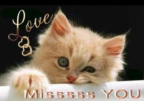 slewis37's profile picture. 