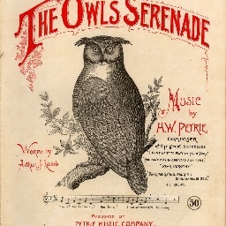 SageDesigner's profile picture. 