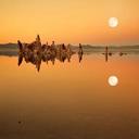 Lynne Butcher - @lynnebutcher - Twitter