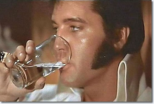 DrinkingElvis's profile picture. Vegas = Great...........
Vegas + Drinking Elvis = Epic