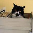 Sage Ward - @superbakedsage - Twitter