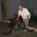 rita ellington - @ritaellington - Twitter