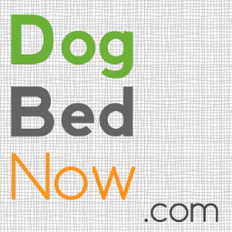 At DogBedNow.com, we are passionate about dogs and believe they deserve a comfy place to rest. It is our mission to provide the best dog beds in the world!
