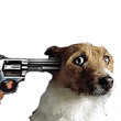 JohnstonBernard Profile Picture