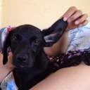 donna bella enriquez - @DoDotzzkie32 - Twitter