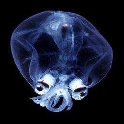Creepy cool scientific news from x-thousand leagues under the sea!