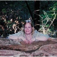 theblender (@theblender) 's Twitter Profile