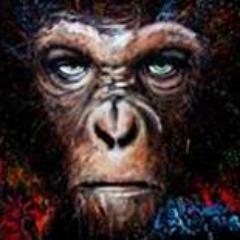 KilerComisssio's profile picture. Change your life succeed!!!!!!!!!!!!!!
#teamfollowback #TeamFollowBack #TFB #Dynamc3